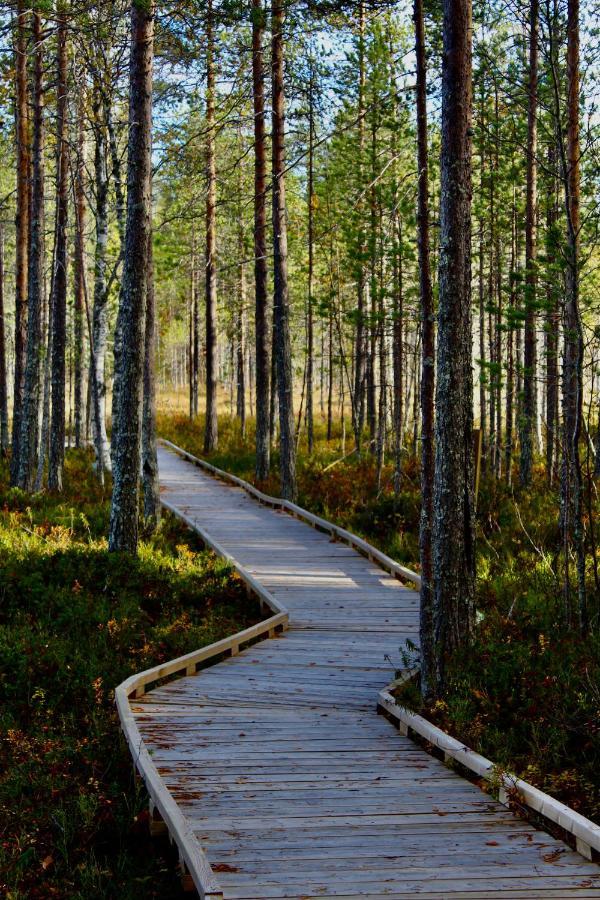 Kaetkae Lake Lodge Tervola Zewnętrze zdjęcie
