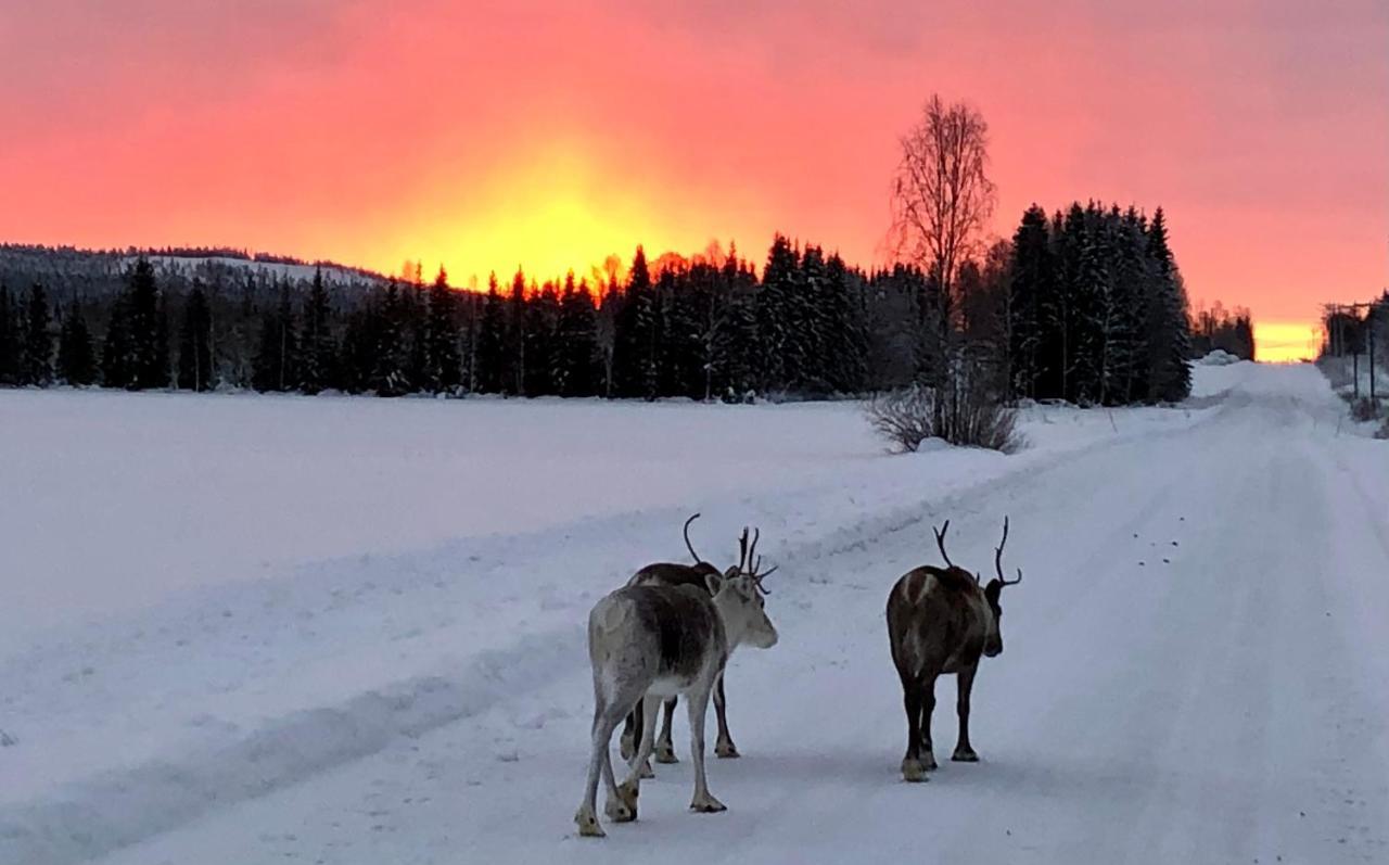 Kaetkae Lake Lodge Tervola Zewnętrze zdjęcie